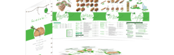 Catalogue commercial